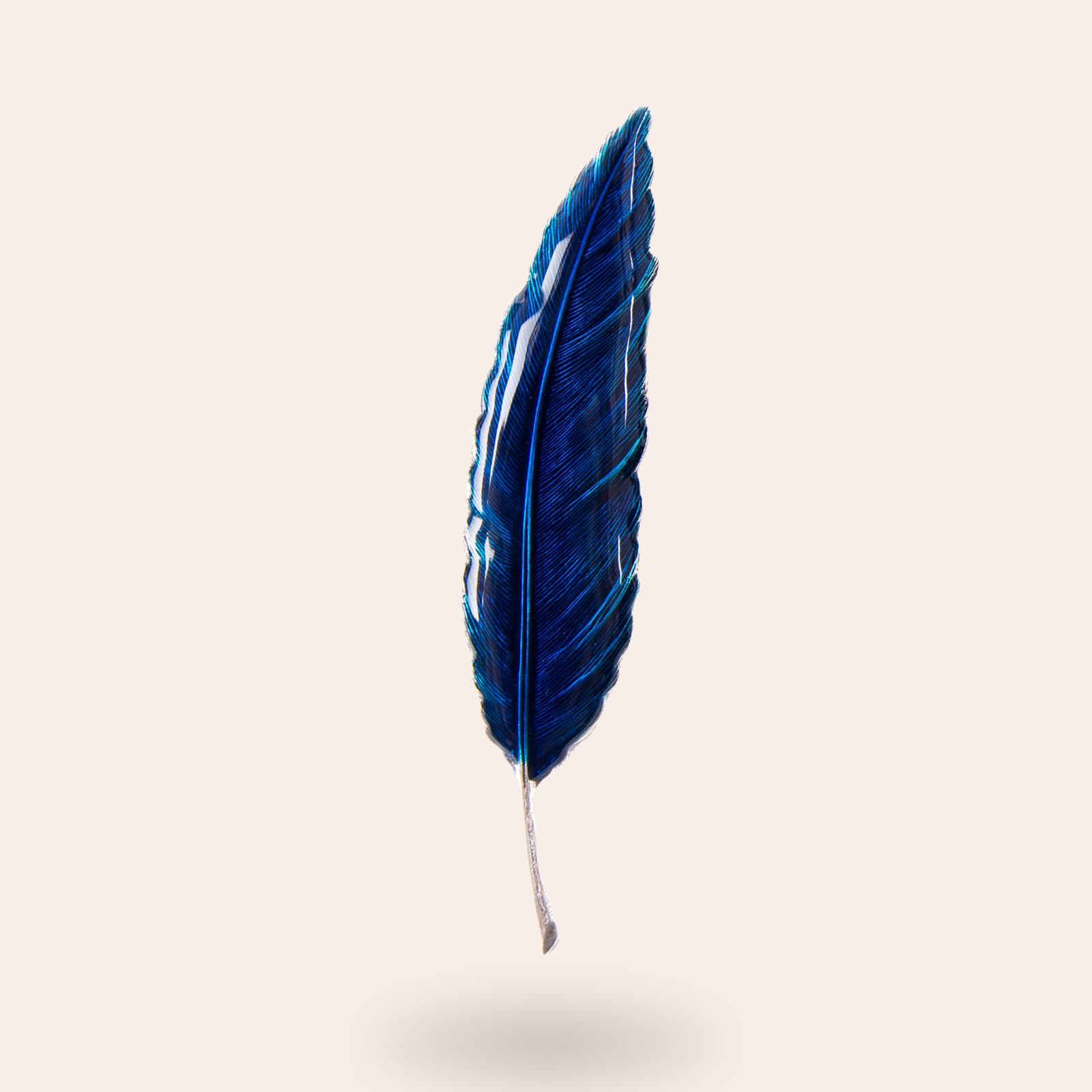 Broche Plume