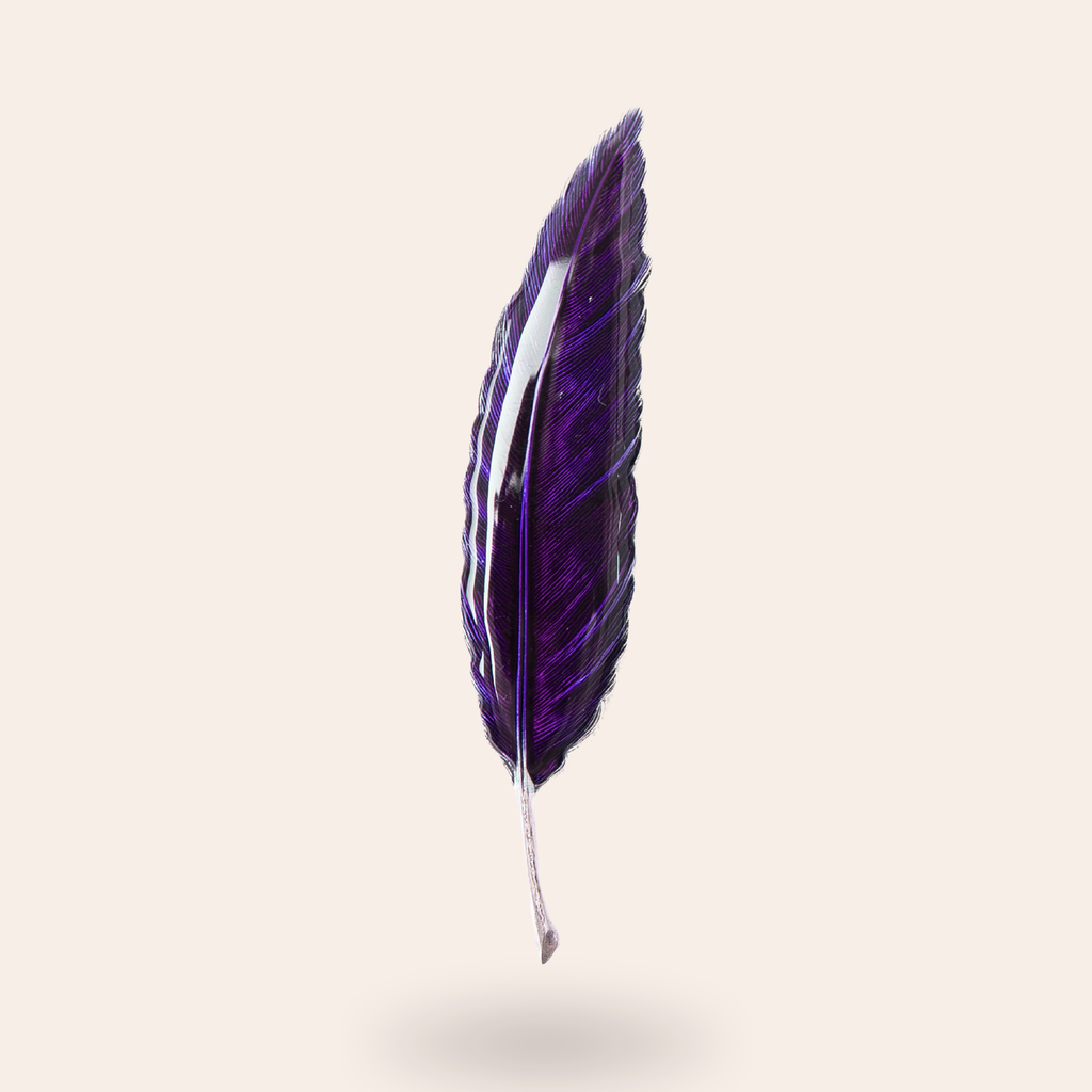 Broche Plume