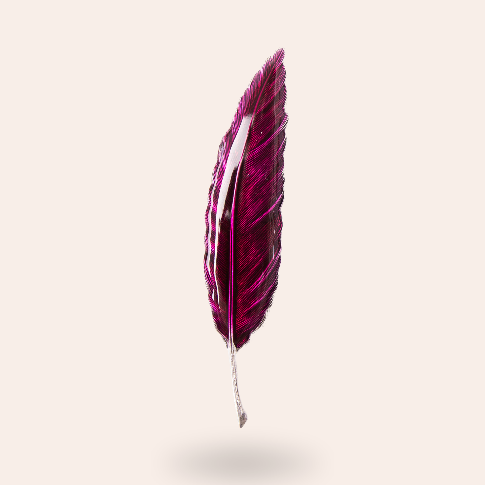Broche Plume