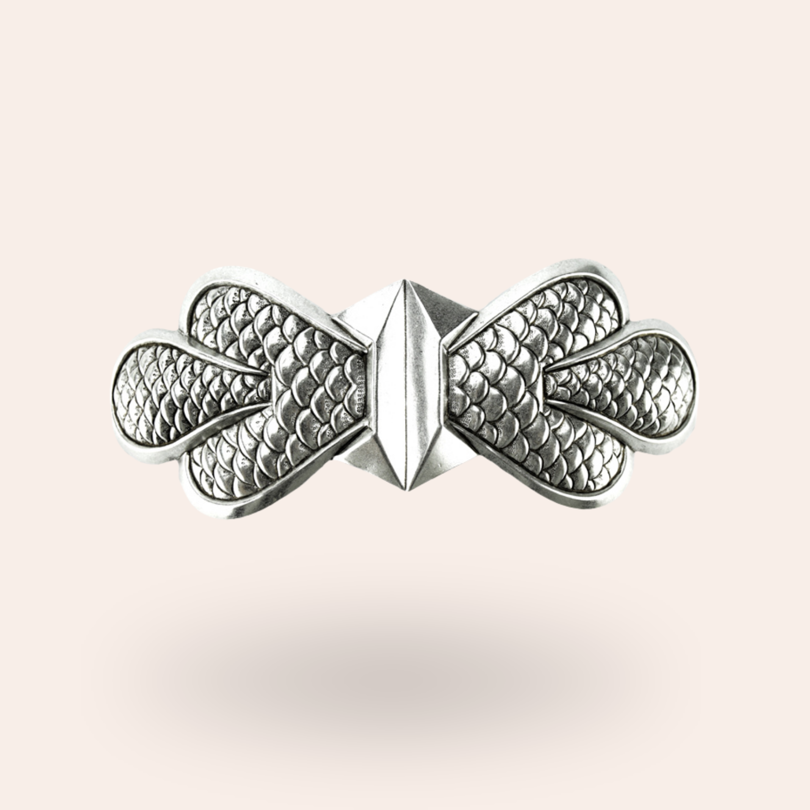 Barrette Ecailles Argentée