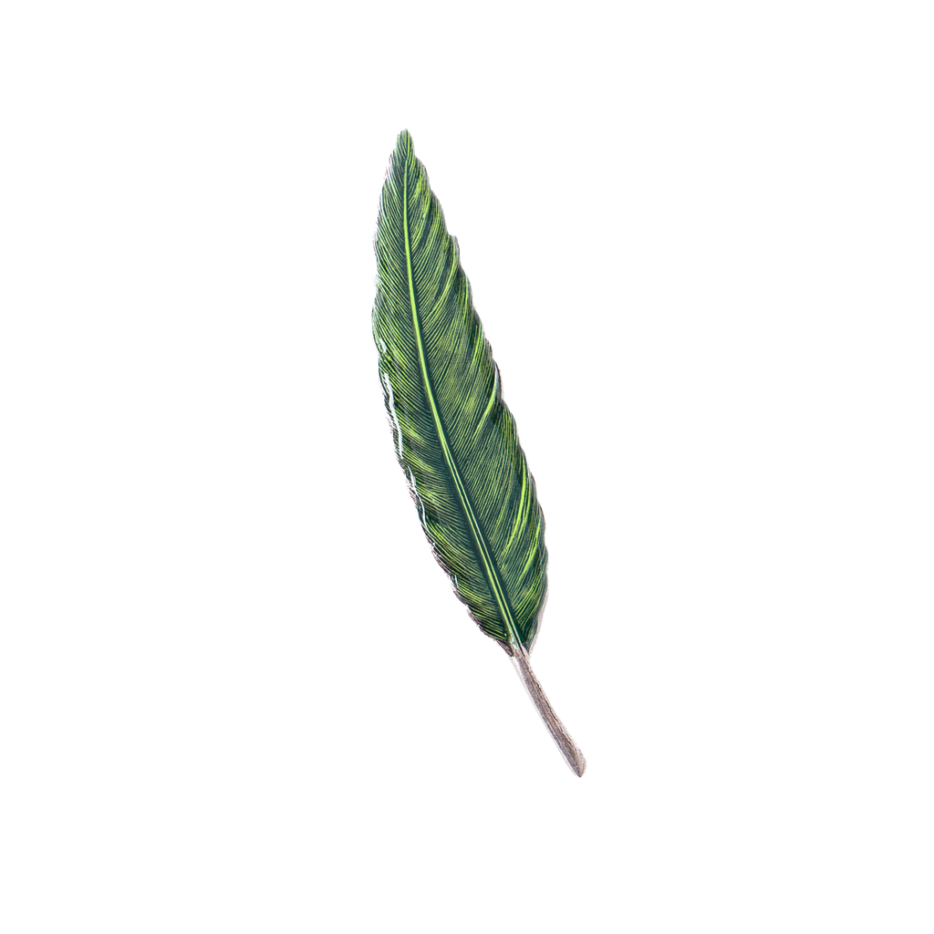 Broche Plume